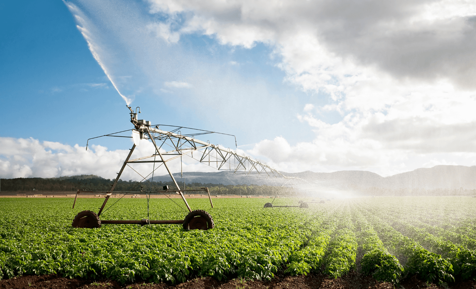 Agriculture
