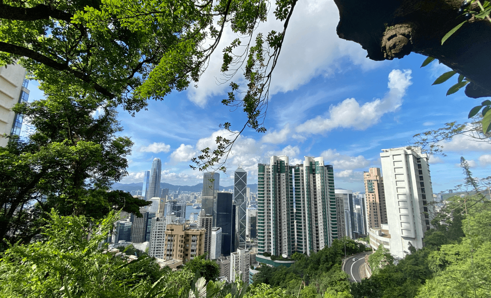 Cover image 7