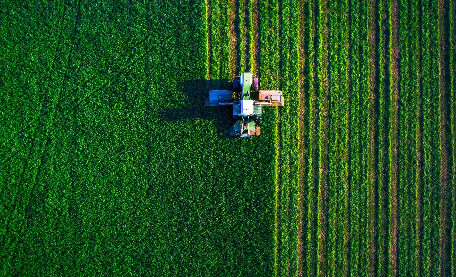 Agriculture tractor field plowing 2