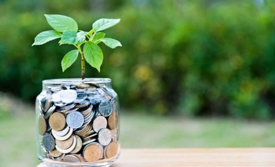 Magic money tree