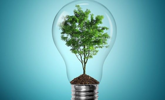 Tree in lightbulb